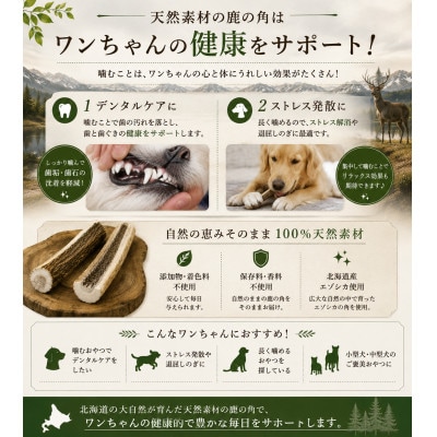 北海道産エゾシカ 鹿の角 Mサイズ 半割り2本セット 約15cm 小型犬・中型犬用