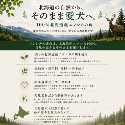 北海道産エゾシカ 鹿の角 Mサイズ 半割り2本セット 約15cm 小型犬・中型犬用