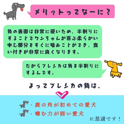 プレシカ　大型犬用鹿の角　LLサイズ半割り2本セット(約15cm)