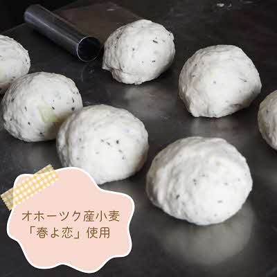 【朝食にもおやつにも】北海道産小麦で作るヘルシーベーグル 合計8個セット