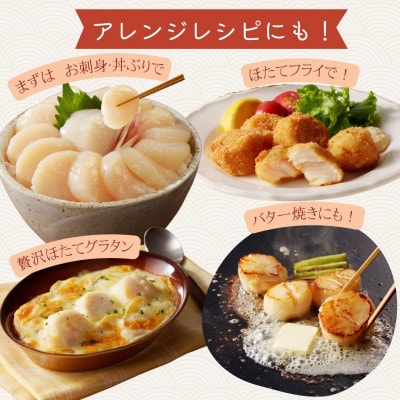 北海道オホーツク海産　ホタテ貝柱　800g　生食用(約40～80玉)