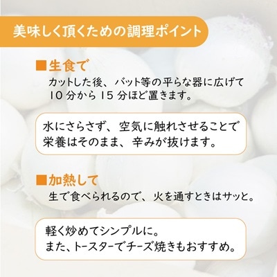 ところのしろたま 5kg