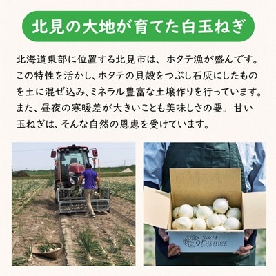 ところのしろたま 5kg
