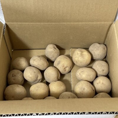 【2024年2月より順次発送】宇野さんの手拾い手選別の越冬じゃがいも　1kg(1玉60～80g)