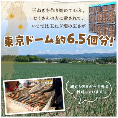 生産量日本一北海道北見玉ねぎ2kg　スープ計2本付(オニオン・ほたて)2026年9月より順次発送