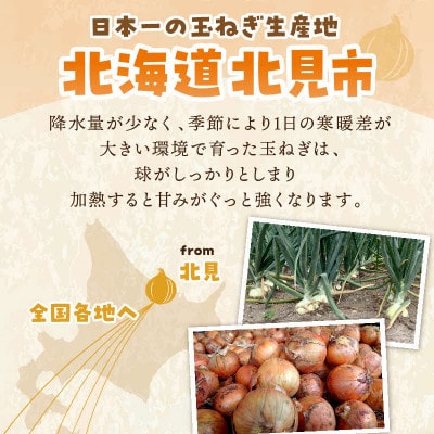 生産量日本一北海道北見玉ねぎ2kg　スープ計2本付(オニオン・ほたて)2026年9月より順次発送