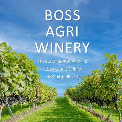 桜夢雫　清舞　1本750ml