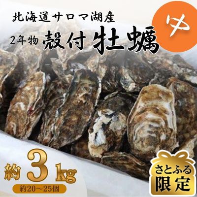【さとふる限定】【2026年発送】サロマ湖産殻付き2年牡蠣　中　約3kg(約20～25個)