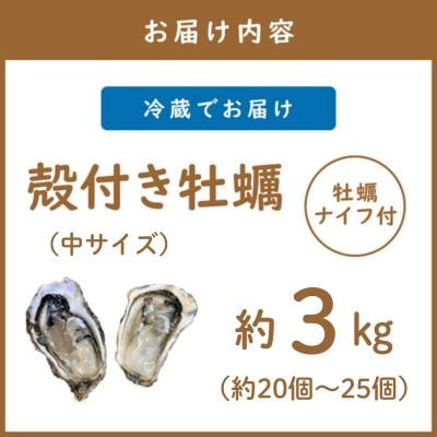 【さとふる限定】【2026年発送】サロマ湖産殻付き2年牡蠣　中　約3kg(約20～25個)