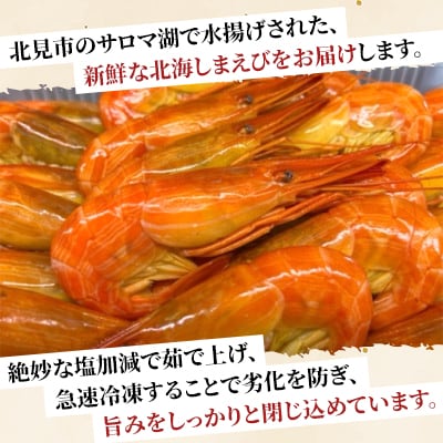 【さとふる限定】サロマ湖産北海しまえび約400g