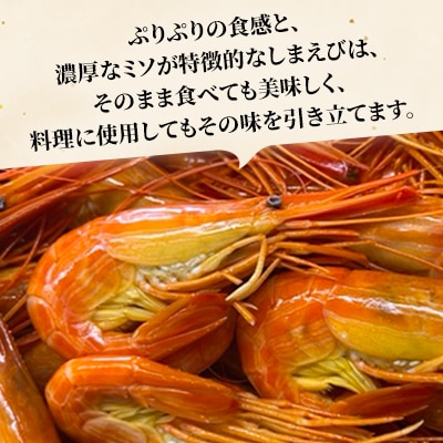【さとふる限定】サロマ湖産北海しまえび約400g