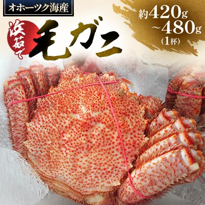 オホーツク海産　浜茹で毛ガニ　約420g～480g×1杯