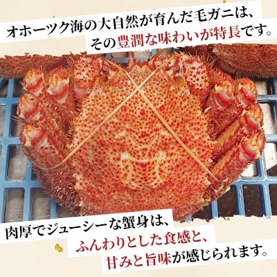 オホーツク海産　浜茹で毛ガニ　約420g～480g×1杯