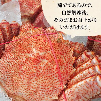 オホーツク海産　浜茹で毛ガニ　約420g～480g×1杯
