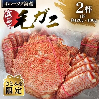 【さとふる限定】北海道産 毛ガニ 中 約420g～480g×2杯
