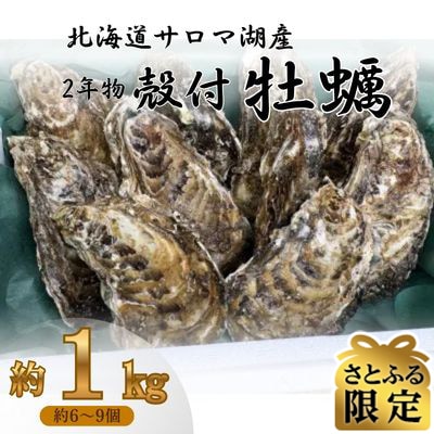 【さとふる限定】サロマ湖産2年牡蠣 約1kg(約6～9個)
