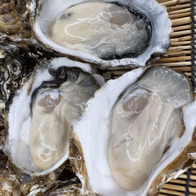 サロマ湖産2年牡蠣 約1kg(約6～9個)