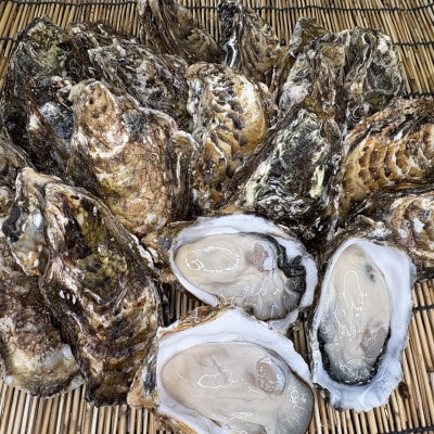 サロマ湖産2年牡蠣 約1kg(約6～9個)