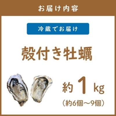 【さとふる限定】サロマ湖産2年牡蠣 約1kg(約6～9個)
