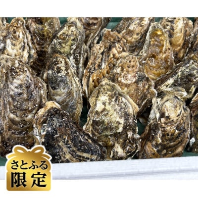 【さとふる限定】サロマ湖産2年牡蠣 約6kg(約36～54個)