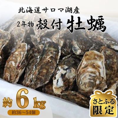 【さとふる限定】サロマ湖産2年牡蠣 約6kg(約36～54個)