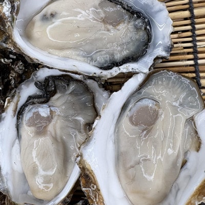 【さとふる限定】サロマ湖産2年牡蠣 約6kg(約36～54個)