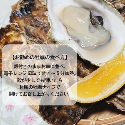 【さとふる限定】サロマ湖産2年牡蠣 約6kg(約36～54個)