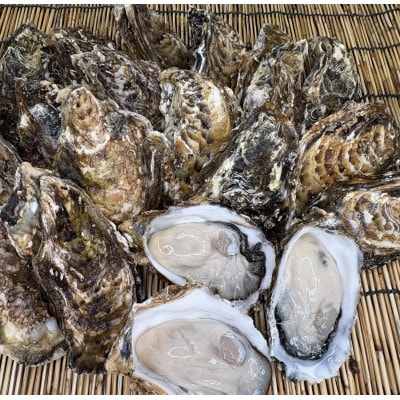 【さとふる限定】サロマ湖産2年牡蠣 約6kg(約36～54個)