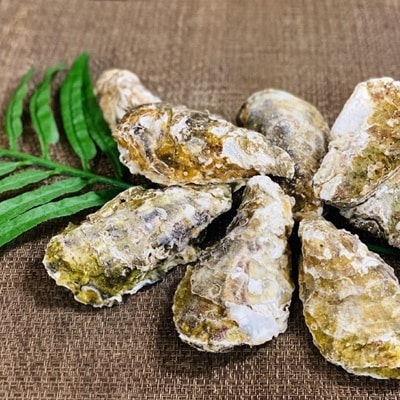 【さとふる限定】サロマ湖産2年牡蠣 約6kg(約36～54個)