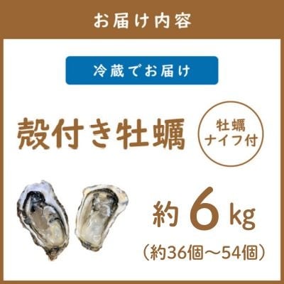 【さとふる限定】サロマ湖産2年牡蠣 約6kg(約36～54個)
