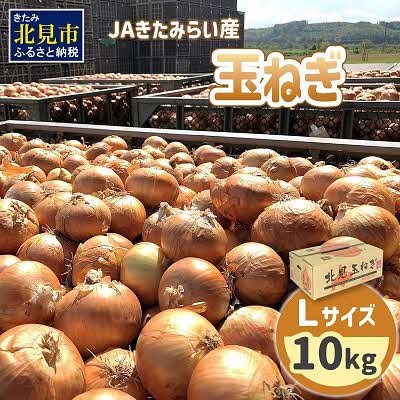 【先行受付】JAきたみらい産 玉ねぎ Lサイズ 10kg