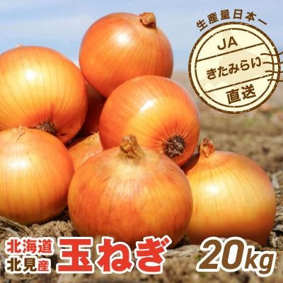 【先行受付】JAきたみらい産 玉ねぎ Lサイズ 20kg