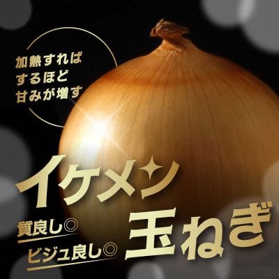 【先行受付】JAきたみらい産 玉ねぎ Lサイズ 20kg