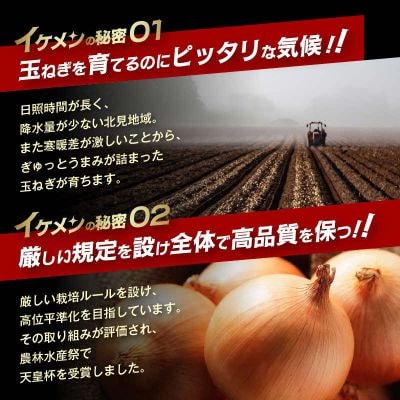 【先行受付】JAきたみらい産 玉ねぎ Lサイズ 20kg