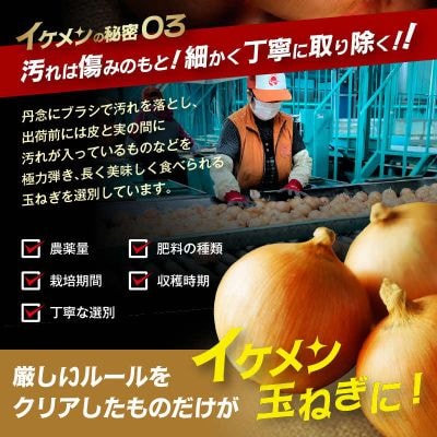 【先行受付】JAきたみらい産 玉ねぎ Lサイズ 20kg