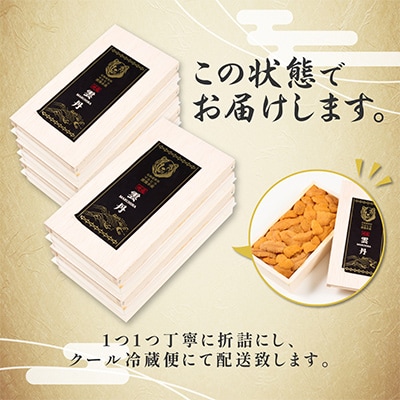 折詰蝦夷ばふんうに 100g×5枚