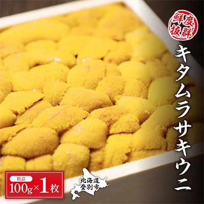 【2025年夏発送】折詰きたむらさきうに 100g×1枚