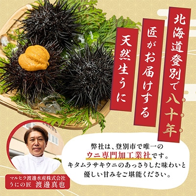 【2025年夏発送】折詰きたむらさきうに 100g×1枚