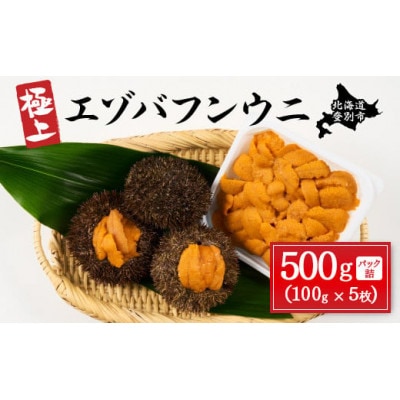 蝦夷ばふんうにパック詰 100g×5枚