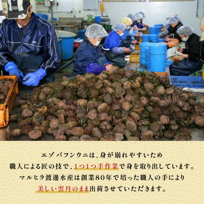 蝦夷ばふんうにパック詰 100g×5枚