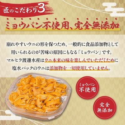 無添加 塩水蝦夷ばふんうに 100g×4p