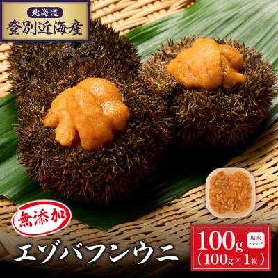 北海道登別近海産　無添加 塩水蝦夷ばふんうに　100g×1p