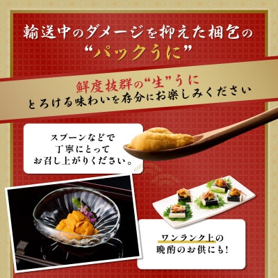 蝦夷ばふんうにパック詰 100g×1枚