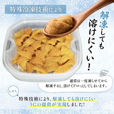 北海道登別近海産きたむらさきうに(冷凍パック)100g×3P