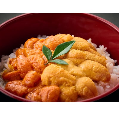 登別近海産 蝦夷ばふんうに&きたむらさきうに 2種食べ比べセット 冷凍パック(100g×2P)