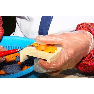 2021年10月発送開始『定期便』折詰蝦夷ばふんうに 100g×1枚 全2回