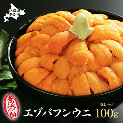 2023年4月発送開始『定期便』無添加 塩水蝦夷ばふんうに 100g×1パック 全5回