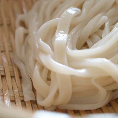 2023年4月発送開始『定期便』北海道産うどん・そば計12食セット全3回