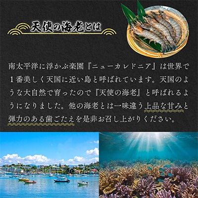 「天使の海老」を灰干ししちゃいました　5尾×3P