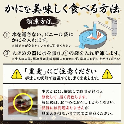 「かに」しゃぶ!生ずわいがにの足むき身を500g　15本～25本　かにしゃぶスープ付